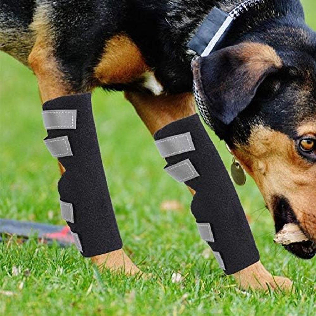 2 stuks hond achterpoten brace hond kniebrace ondersteunende hond hond hond achterbeen enkel wrap beschermt compressie ondersteuning mouw voor verwondingen en verstuikingen bescherming (L)