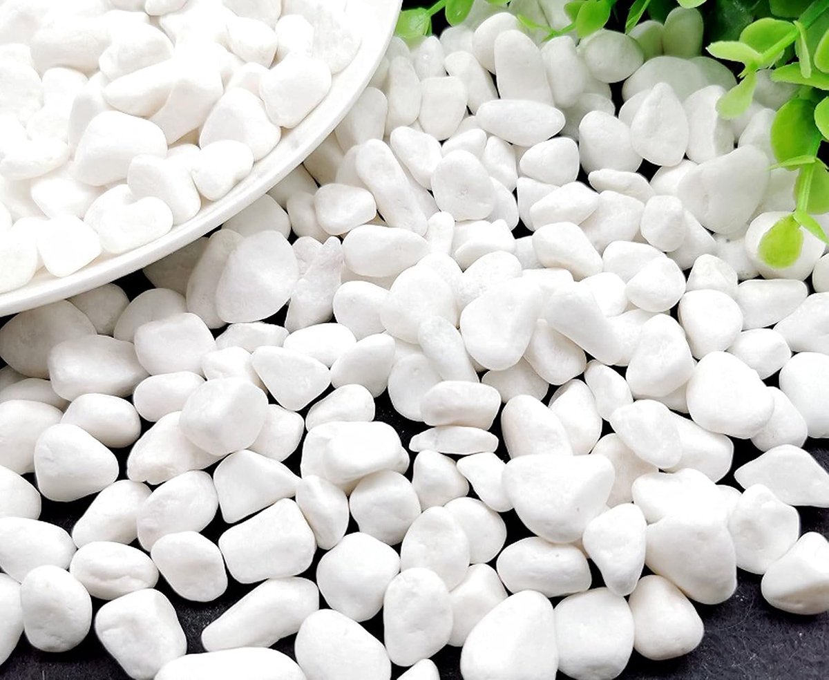 Gravel for Garden White Stones plantendecoratie Wit 900g