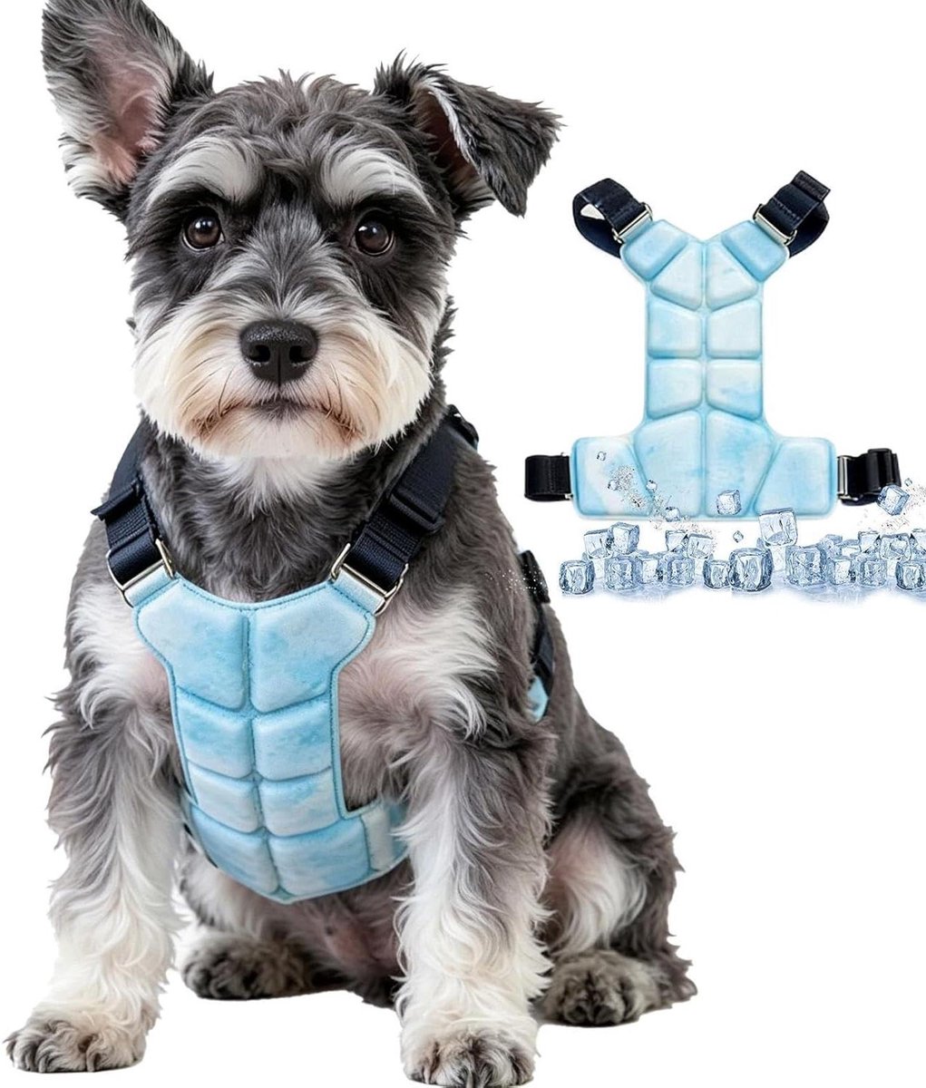 Honden Koelvest - Huisdier Koeljas - Warmte Regulatie - Efficiënte Warmteafvoer - Verstelbaar - Blauw