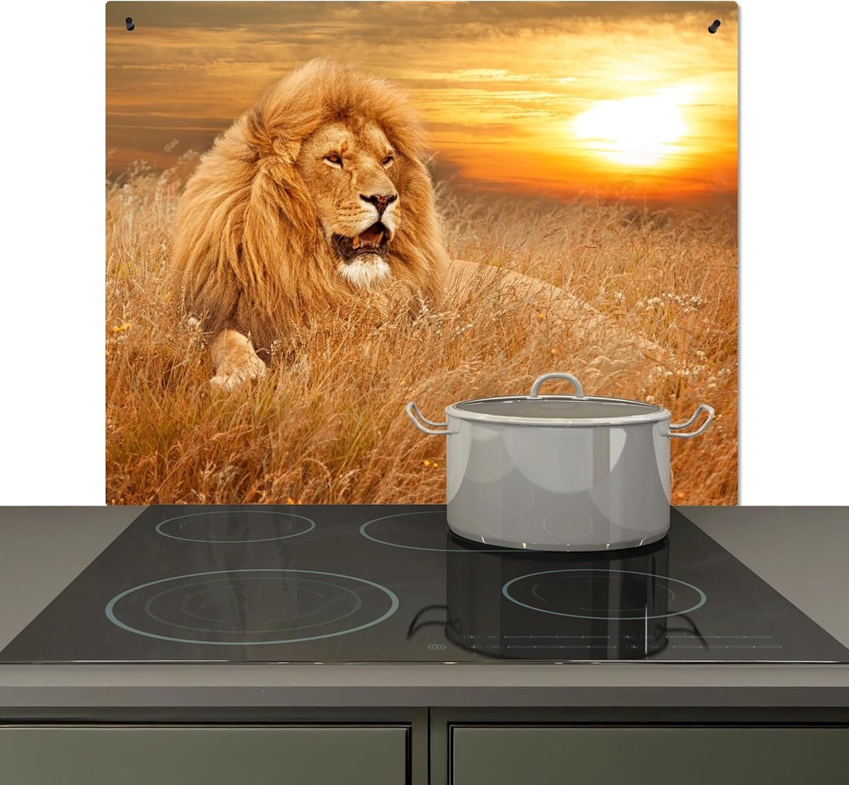 Spatscherm Keuken 52x65 cm Kookplaat Achterwand Beschermer Muur Spatwand Fornuis Aluminium Hittebestendig - Leeuw - Zonsondergang - Natuur - Dier