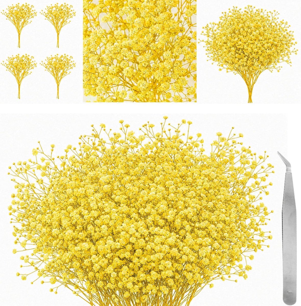 Gedroogde Geperste Gipskruid Bloemen met Pincet, Natuurlijke Gedroogde Gypsophila voor Resin Art, DIY Knutselen, Kaarten Maken en Taartdecoratie (Geel)
