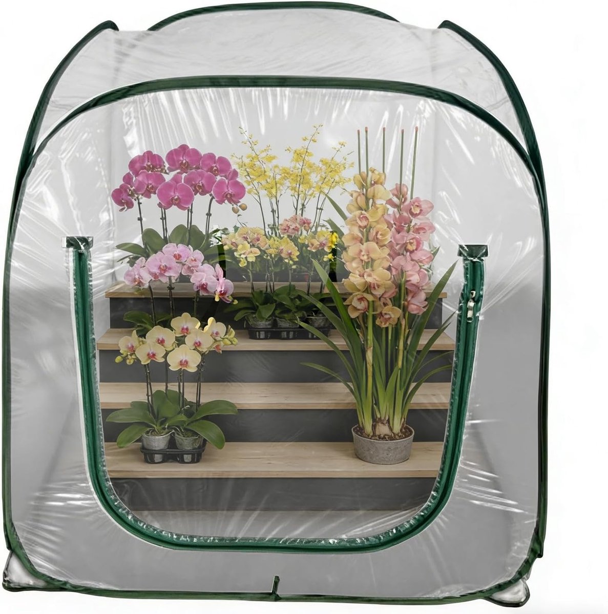 Mini Kas Buiten - Plantenkas Tuin - Planten Beschermen - Zelfnivellerend - 98x98x98 cm - Transparant