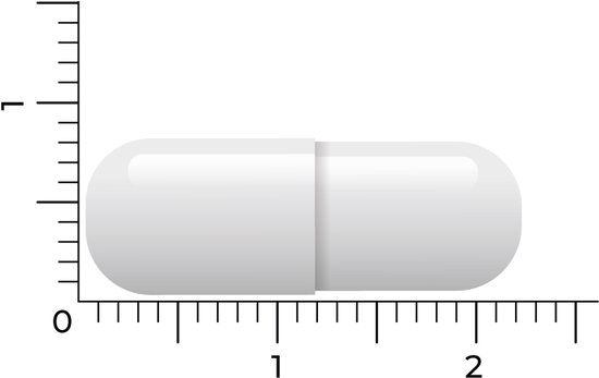 Eén witte capsule naast een liniaal met millimeters en centimeters.