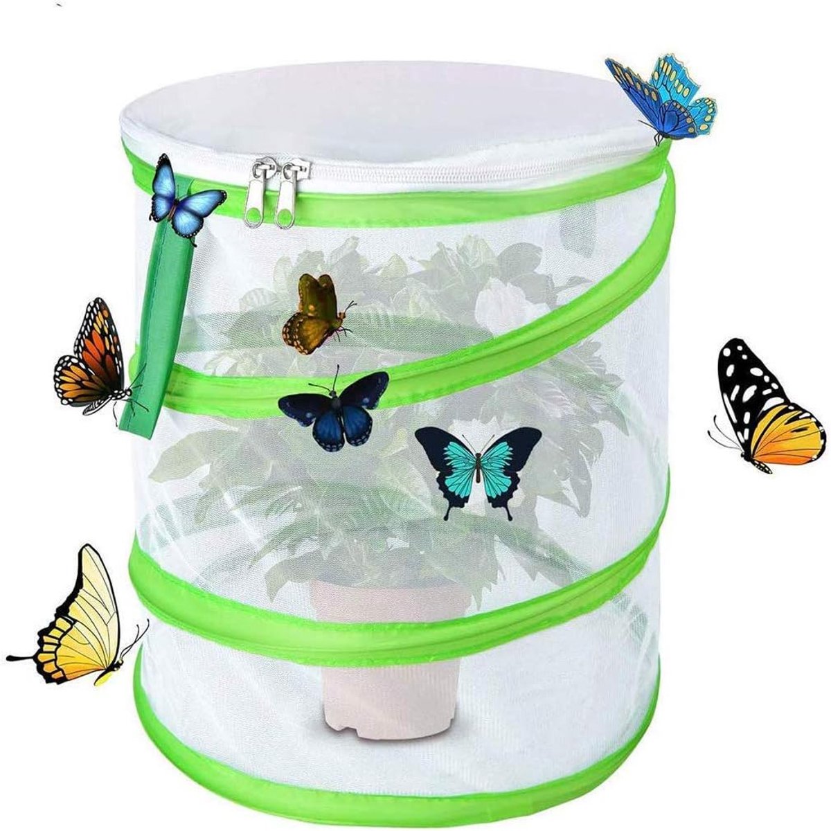 SnelShoppen - Insecten en Vlinder Habitat Kooi - Pop-up Insecten Beschermingskooi - Voor Natuuronderzoek, Kinderen, Tuin - 14x15 cm Vouwbaar met Venti
