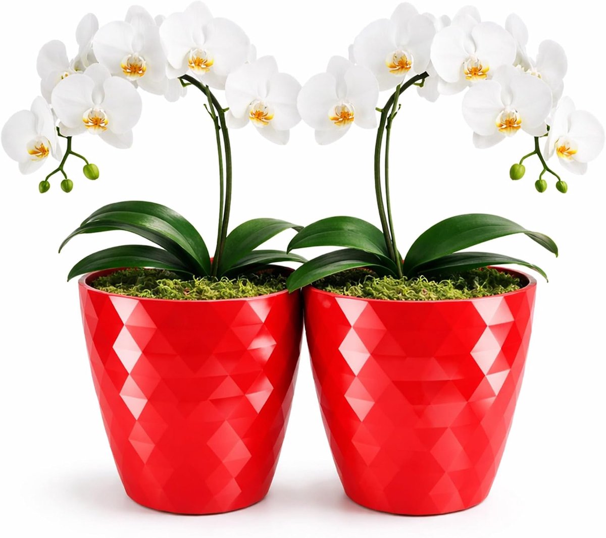 Shiny Flower Pot, Plastic Flower Pot, Decorative Flower Pot for Large and Small Flowers, Set of 2 Flower Pots, Flower - ShopVlot