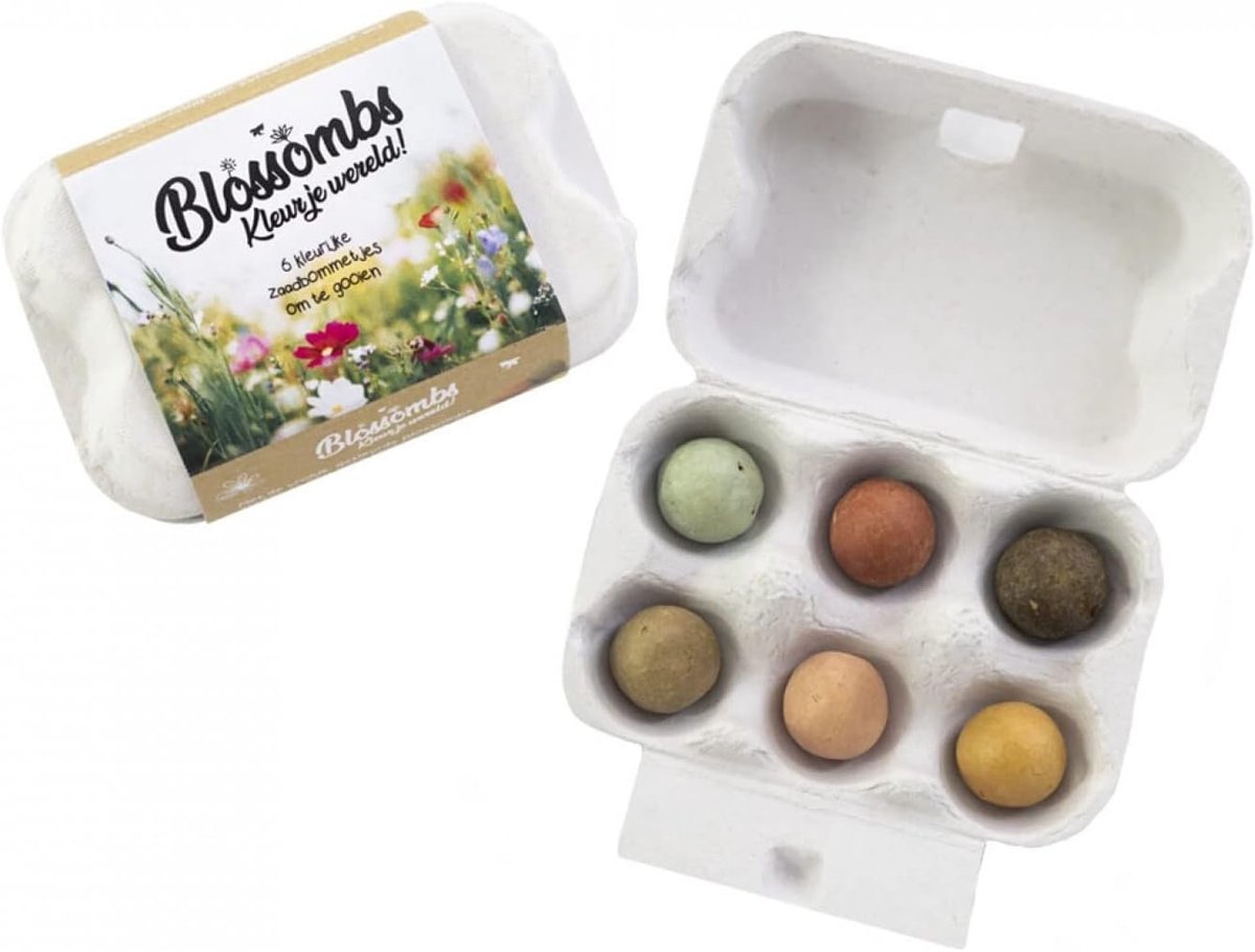 Blossombs - seeds trees in egg carton - 6 pieces - ShopVlot