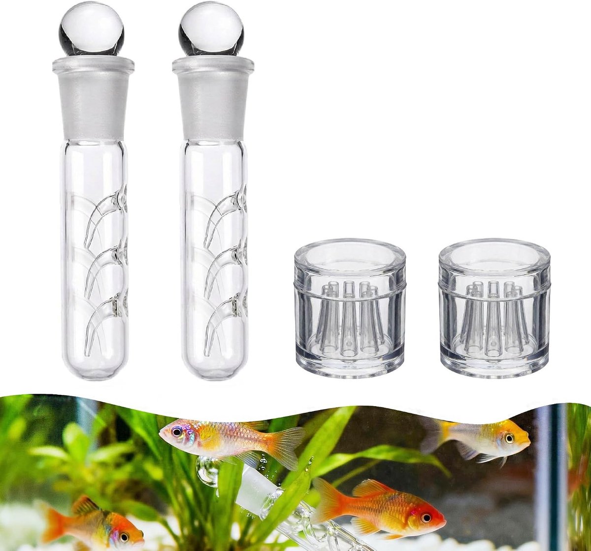 Planaria Trap Planaria Trap, Planarium Trap, Planarium Trap, Planaria Trap with 3 and 8 Holes, Suitable for Aquariums - ShopVlot