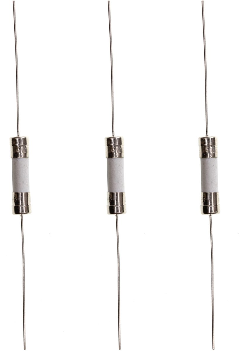 Solidchoice - 10 Stuks 1A 250V Snelbluszeker 5x20mm Keramisch