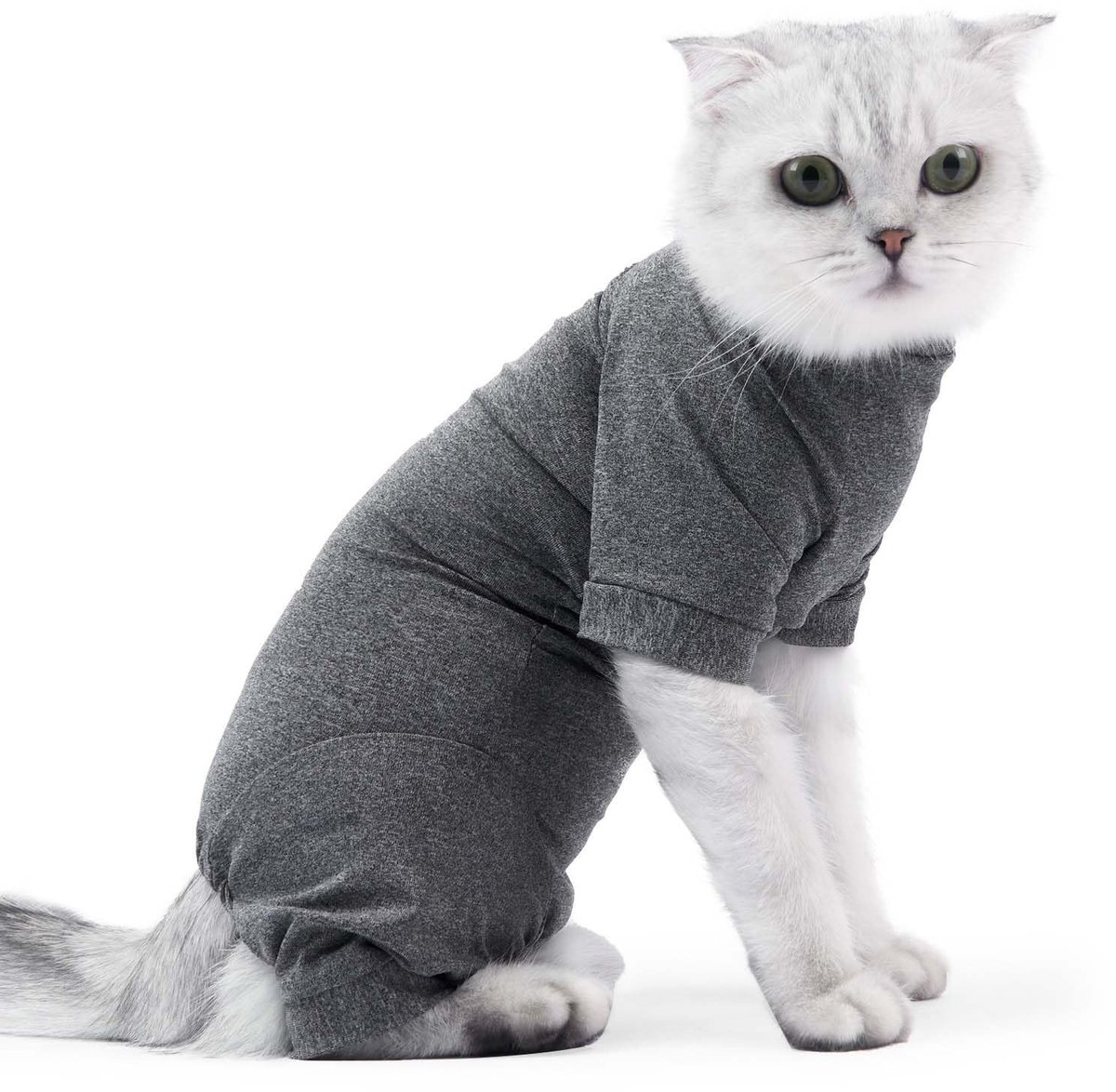 Solidchoice - Katoenen Kleding voor Katten na Chirurgie voor Herstel