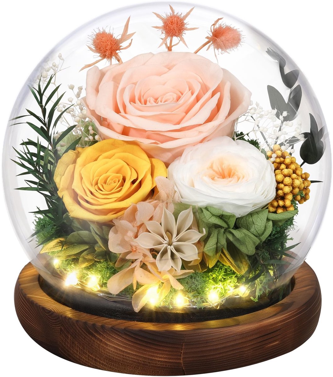Dailygoods - Bewaarde Rozen in Glazen Dome met LED Licht als Geschenk