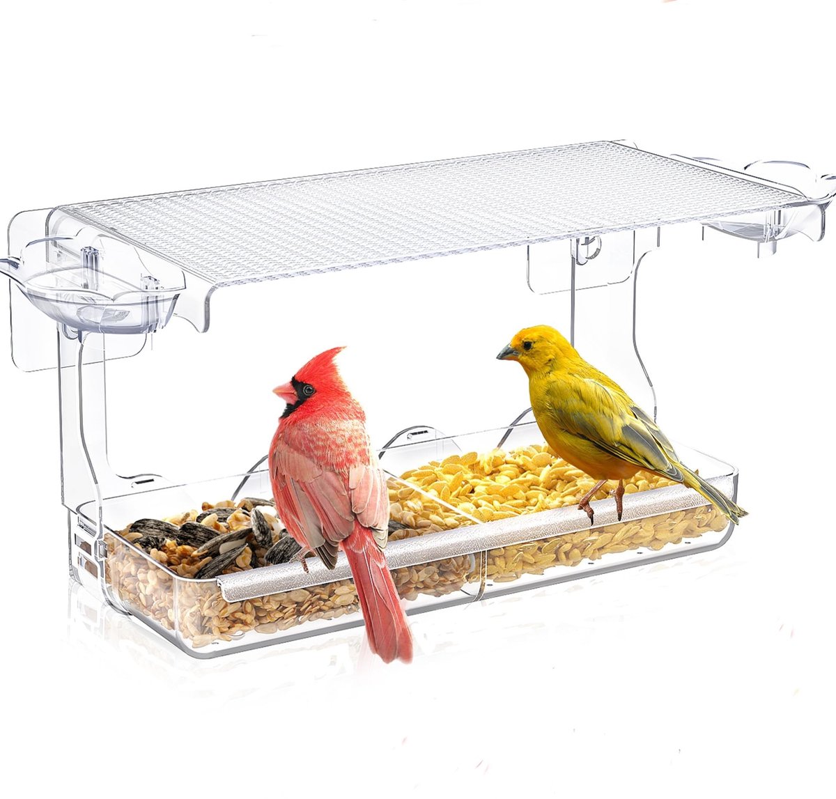 Dailygoods- Vogelvoederhuisje met 2 Waterkommen - Vogelvoederhuisje voor Kleine Vogels - Afneembare Dienbladen - Duurzaam - 24,5 x 10 x 14 cm - Veiligheidswaarschuwing voor Buiten - Voederhuis