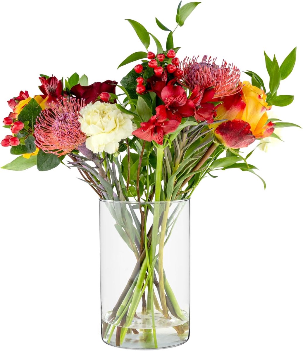SnelShoppen - Grote Cylinder Vaas H: 21.5 cm - Transparante Glazen Tulpenvaas Ø 13.5 cm - Decoratieve Vaas voor Bloemen en Planten - Voor Feesten en T