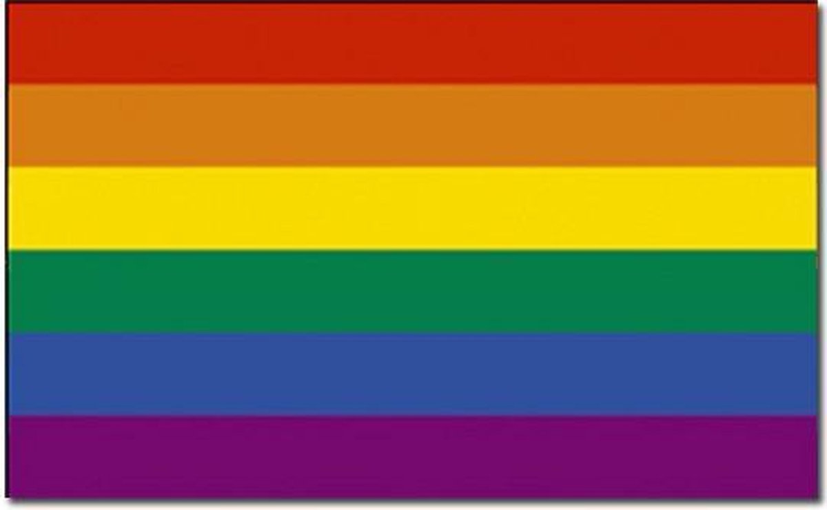 Regenboog vlag 90 x 150 cm - Gaypride