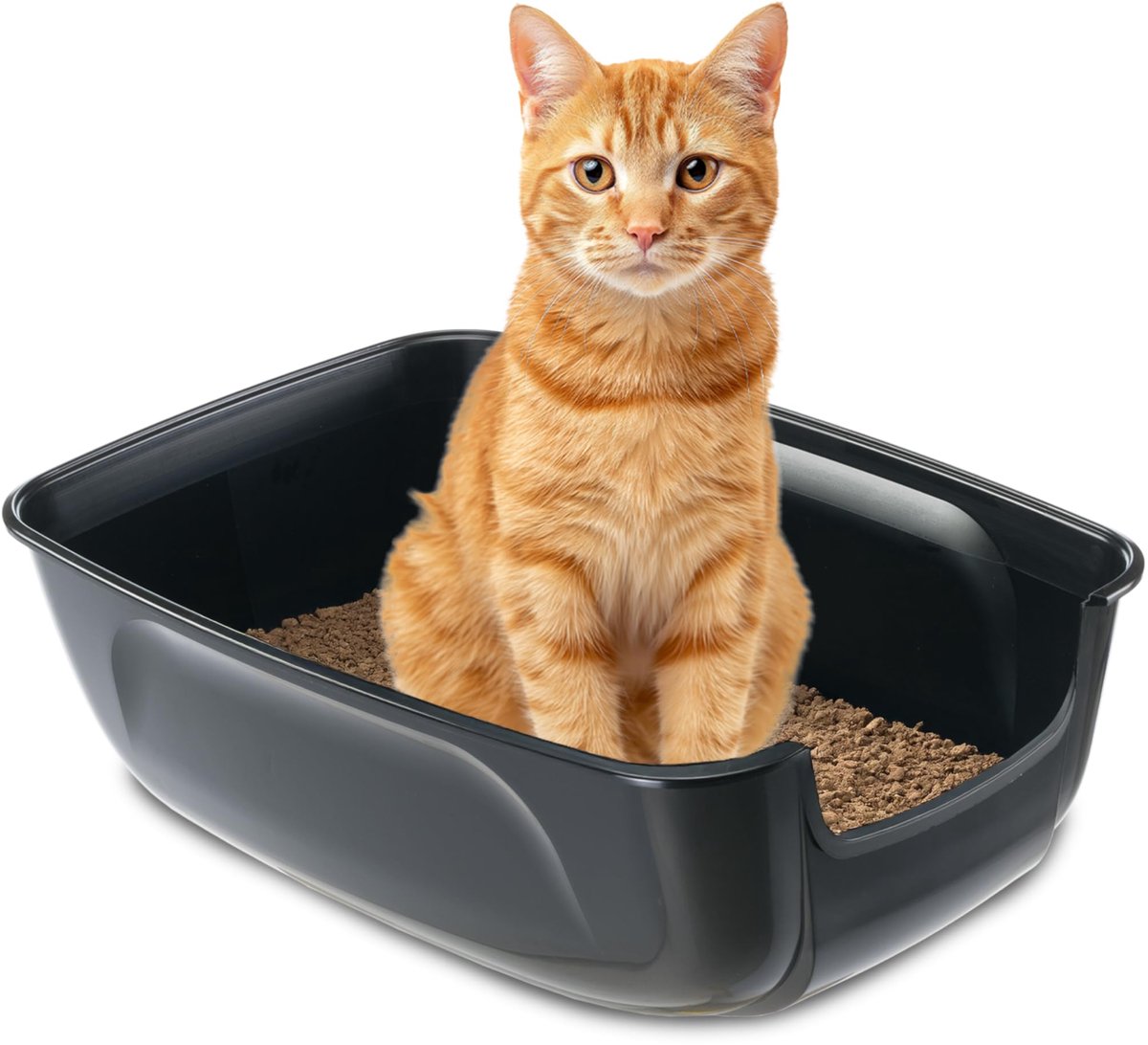 Famanu – Kattenbak voor grote katten, kunststof met hoge randen, eenvoudig schoon te maken, afmetingen L 67 × B 49 × H 24 cm, zwart