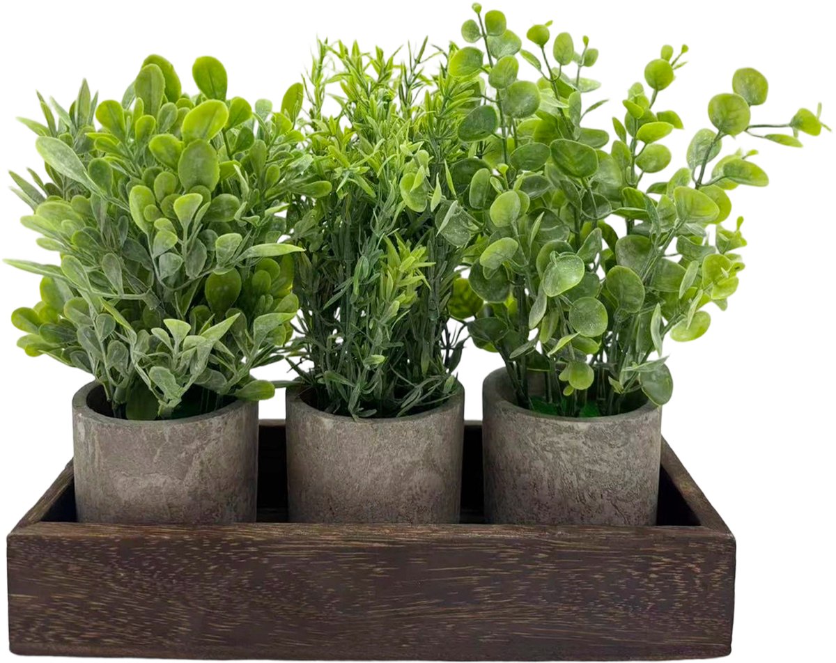 Triumpunpre Kunstplanten Set Eucalyptus & Rozemarijn - 3 Potplanten met Houten Dienblad en Pulp Potten - Tafelstuk Nepgroen Centerpiece - Onderhoudsvrij Woondecoratie voor Eettafel, Salontafel & Kantoor - Groen