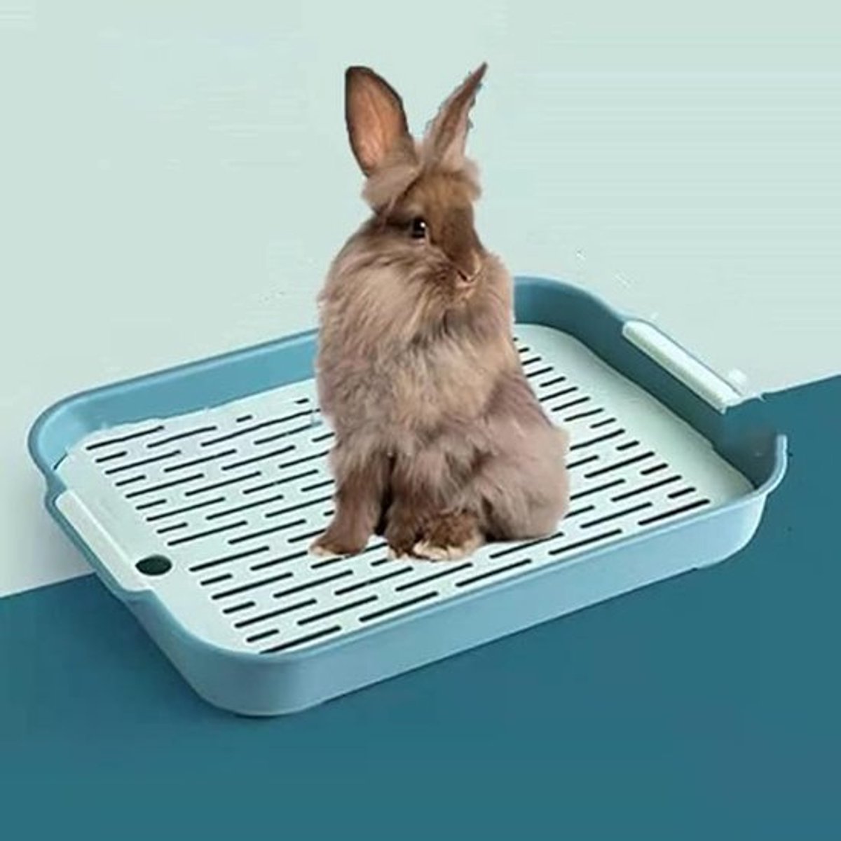 Groene konijnenkooi met rooster, 10,5 x 7,2 inch, anti-kantelbare kattenbak, trainingshoek voor cavia’s met toiletbak, geschikt voor konijnen, chinchilla’s en cavia’s.