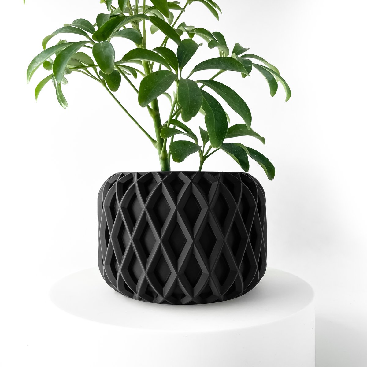 Skushy Kinao Bloempot - Moderne Designpot voor Kamerplanten - Sculpturale Plantenpot voor Woonkamer en Kantoor - Premium Woondecoratie