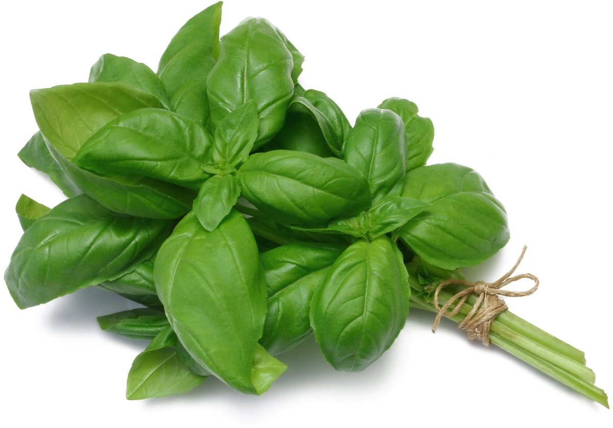 Elzusha - Biologische Basilicumzaadjes Genovese - 500 Zaden
