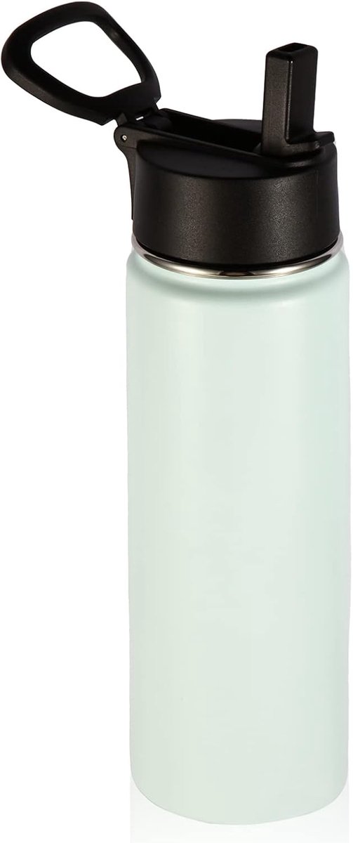 660ml Geïsoleerde Waterflessen Met Rietdeksel, Roestvrij Staal Sportfles Met Handvat, Dubbelwandige Metalen Reiswaterthermosfles Met Brede Mond, Herbruikbare Waterfles Voor School