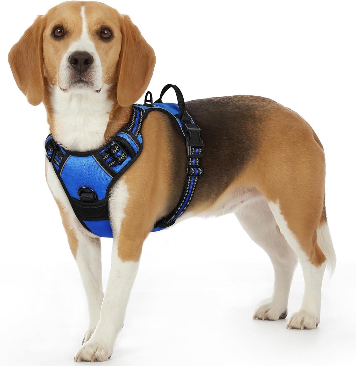Hondentuig No Pull, Hondenharnas voor Kleine Honden, Verstelbare Harnas Hond met Reflecterend Strepen, Gewatteerd Zacht Ademend, Hondentuigje Anti-trek voor Wandelen Training, Blauw S