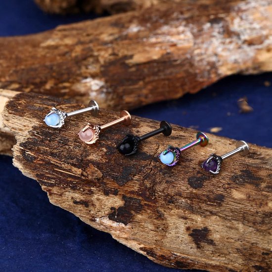 Body Piercing 16G Helix Oorbellen 316L Roestvrij Staal Drakenklauw Tragus Stud Oorbellen Labret Piercing Sieraden Lip Conch Piercing Sieraden — afbeelding 5