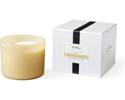 LAFCO New York 3-Wick kaars, kamille lavendel - 30 oz - 120 uur brandtijd - herbruikbaar, handgeblazen glazen vat - gemaakt in de VS
