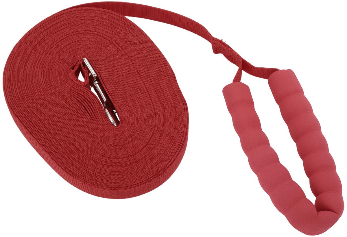 Dailygoods- Trainingslijn 15 m - Hondenriem - Schuimrubberen Handgreep - Duurzaam - Veiligheidsvergrendeling - Geschikt voor Alle Hondenmaten