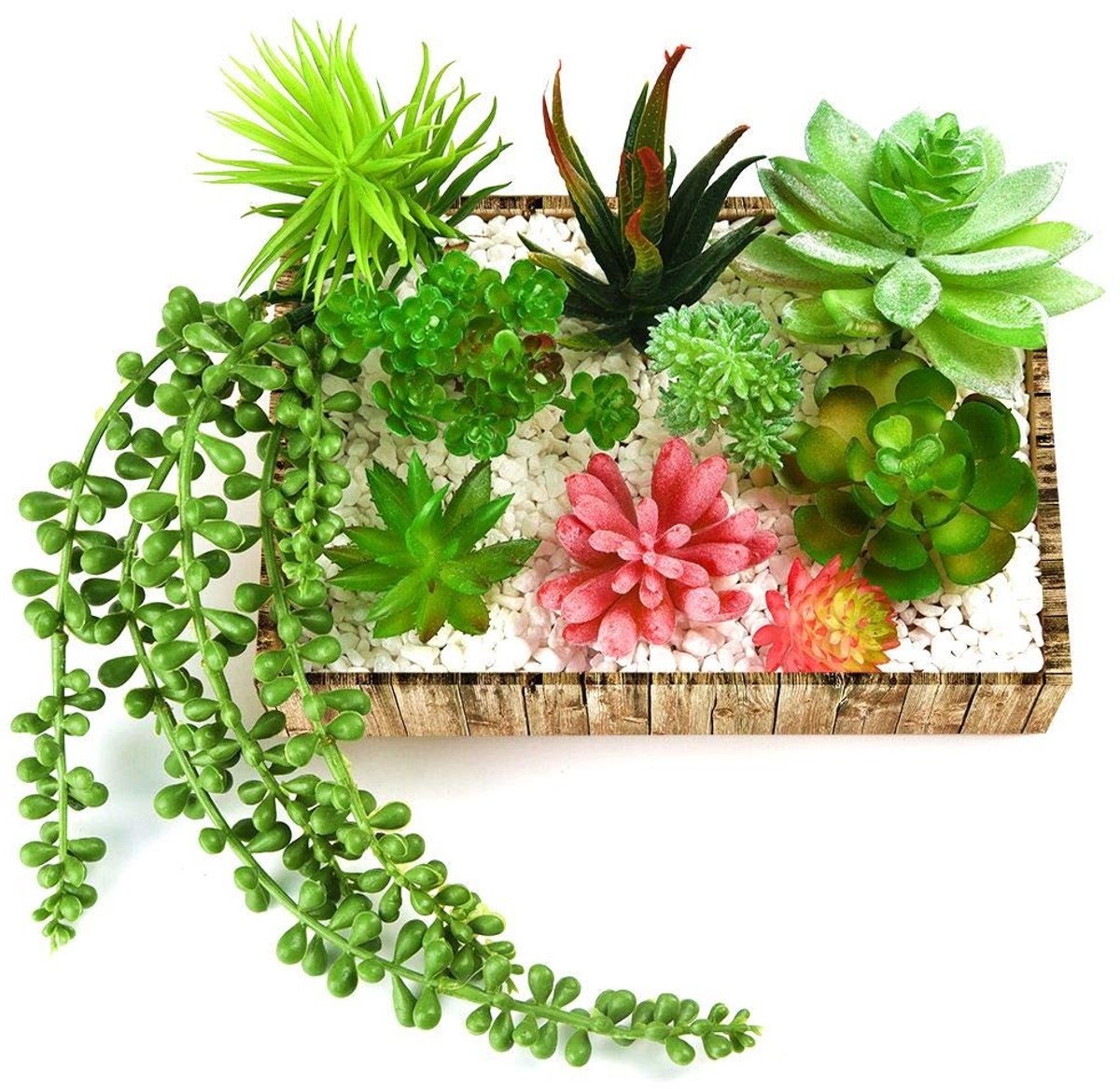 Dailygoods- Vetplanten - 10 Stuks Kunstmatige Echeveria - Duurzaam PVC - Decoratie voor Mi