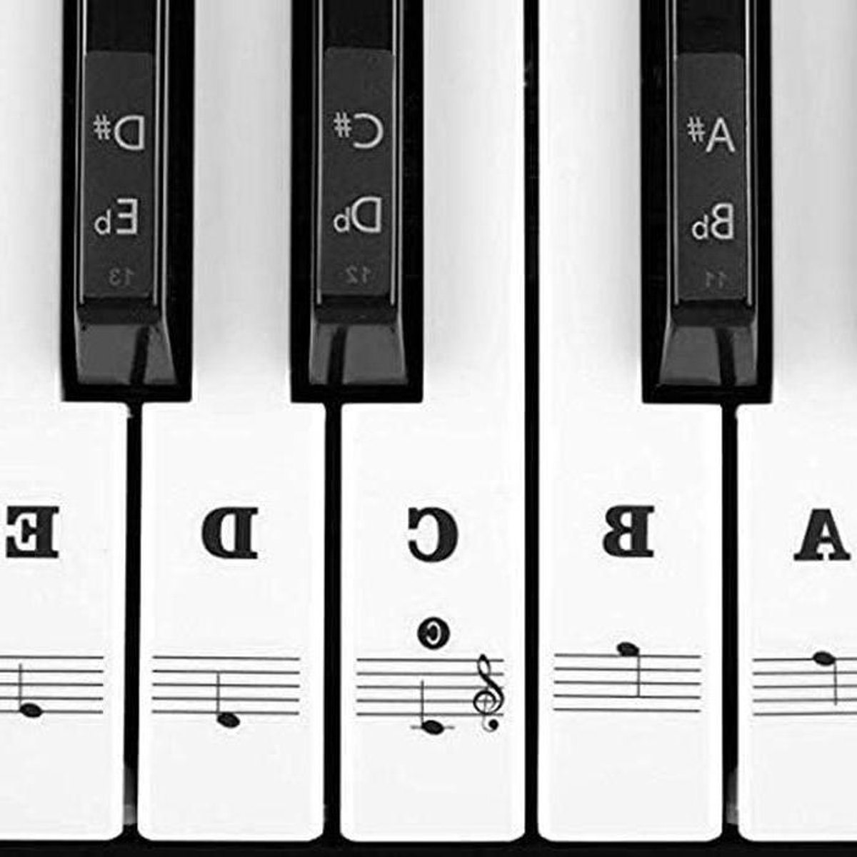 Pianostickers Toetsen - Piano Labels - Piano Leren - Transparant Verwijderbaar - 49-88 Toetsen - Zwart-wit