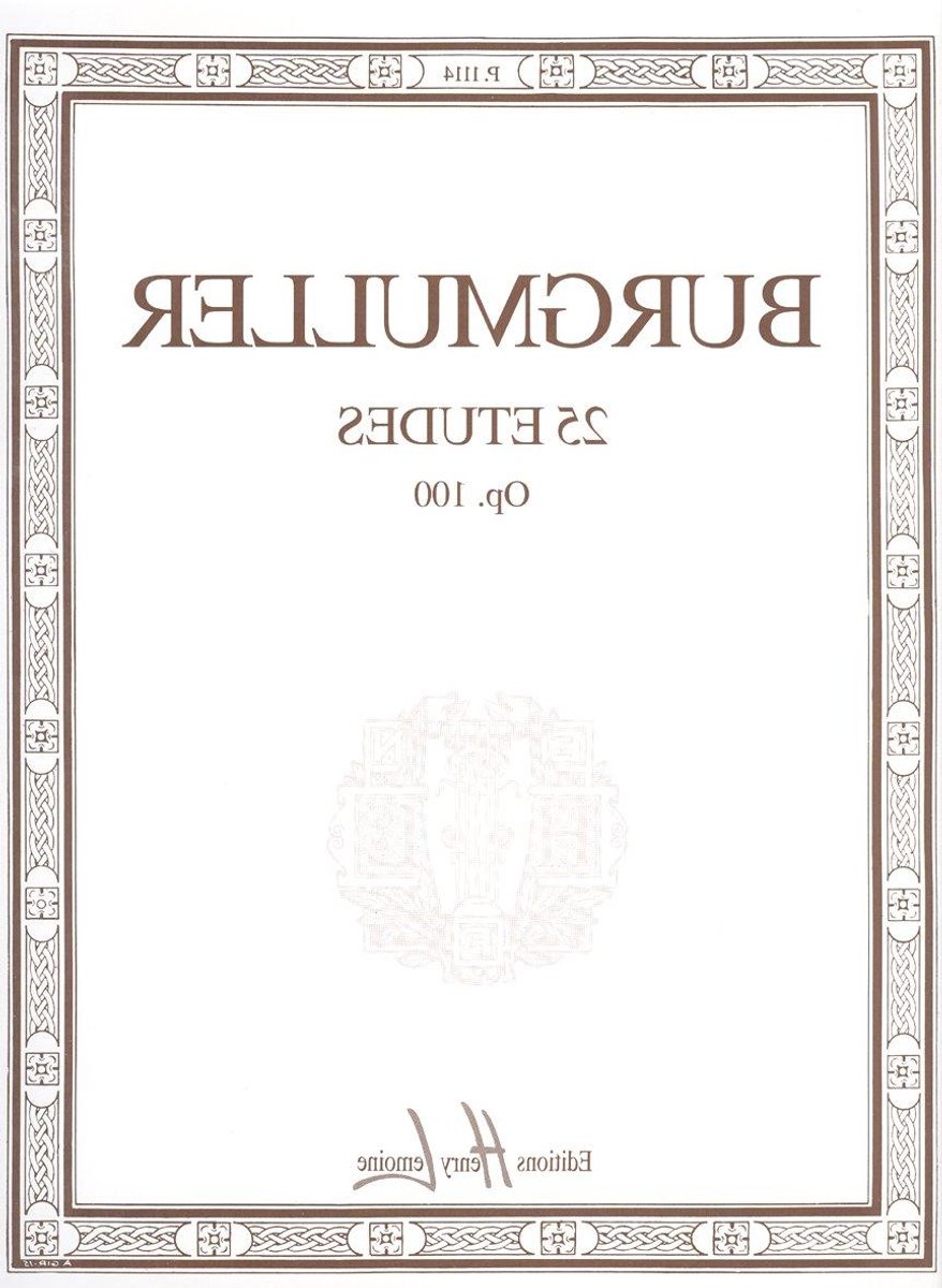 Etudes Piano - Pianostudies Muziekboek - Muziek Oefenen - 25 Stukken - 150 g - Niet gespecificeerd