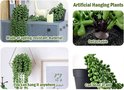Collage: Plante suspendue artificielle, base de plante, plante dans un cadre hexagonal et plante pliable.