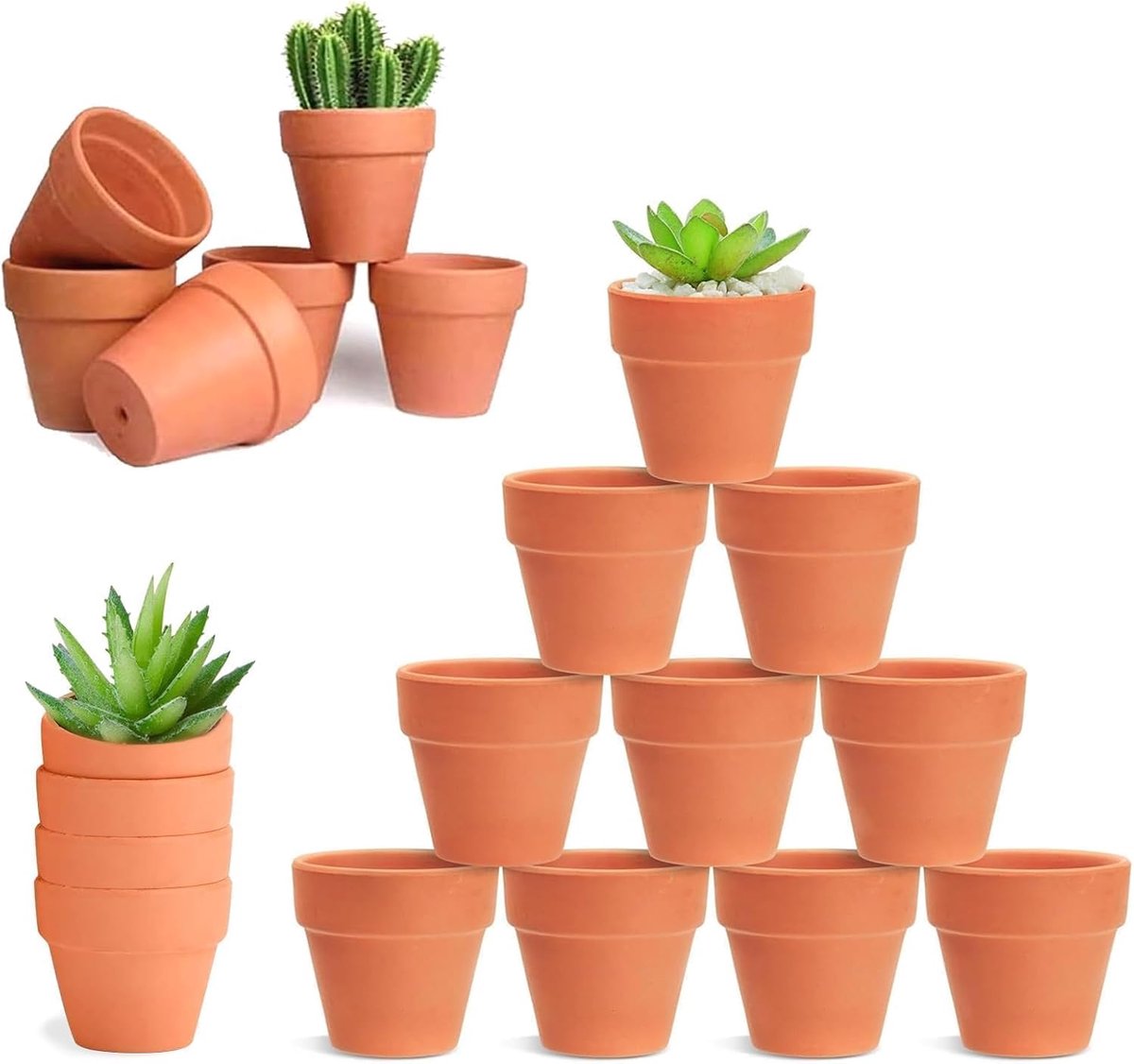 Famanu – Set van 20 mini terracotta potten van 4,8 x 4 cm met afvoergat, ideaal voor cactussen en vetplanten