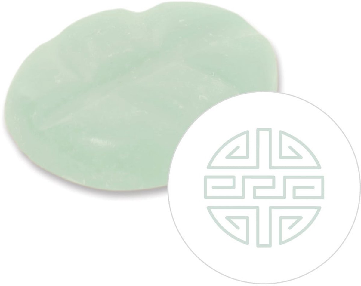 Scentchips® Hammam Inspiration - Geurblokjes - Huisparfum - Geurchips - Waxmelts - Geschikt voor Geurbrander en Waxbrander - XL - 38 Stuks