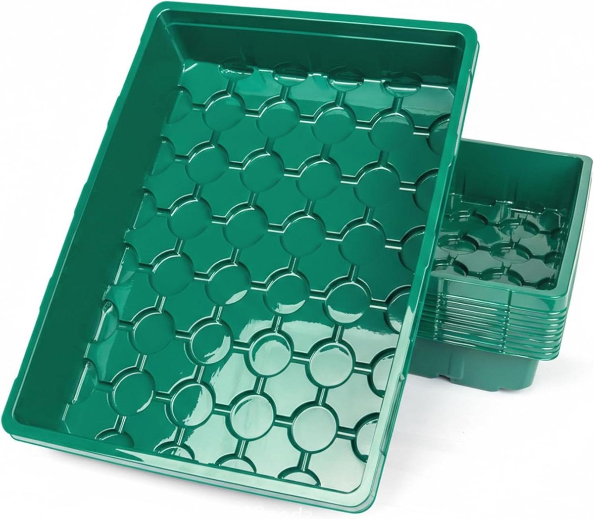 Zaadbakken Set - Plantenbakken Kweekbakken - Zaailingen Kweken - Geen Afvoergaten - 27x36x6.5 cm - Groen