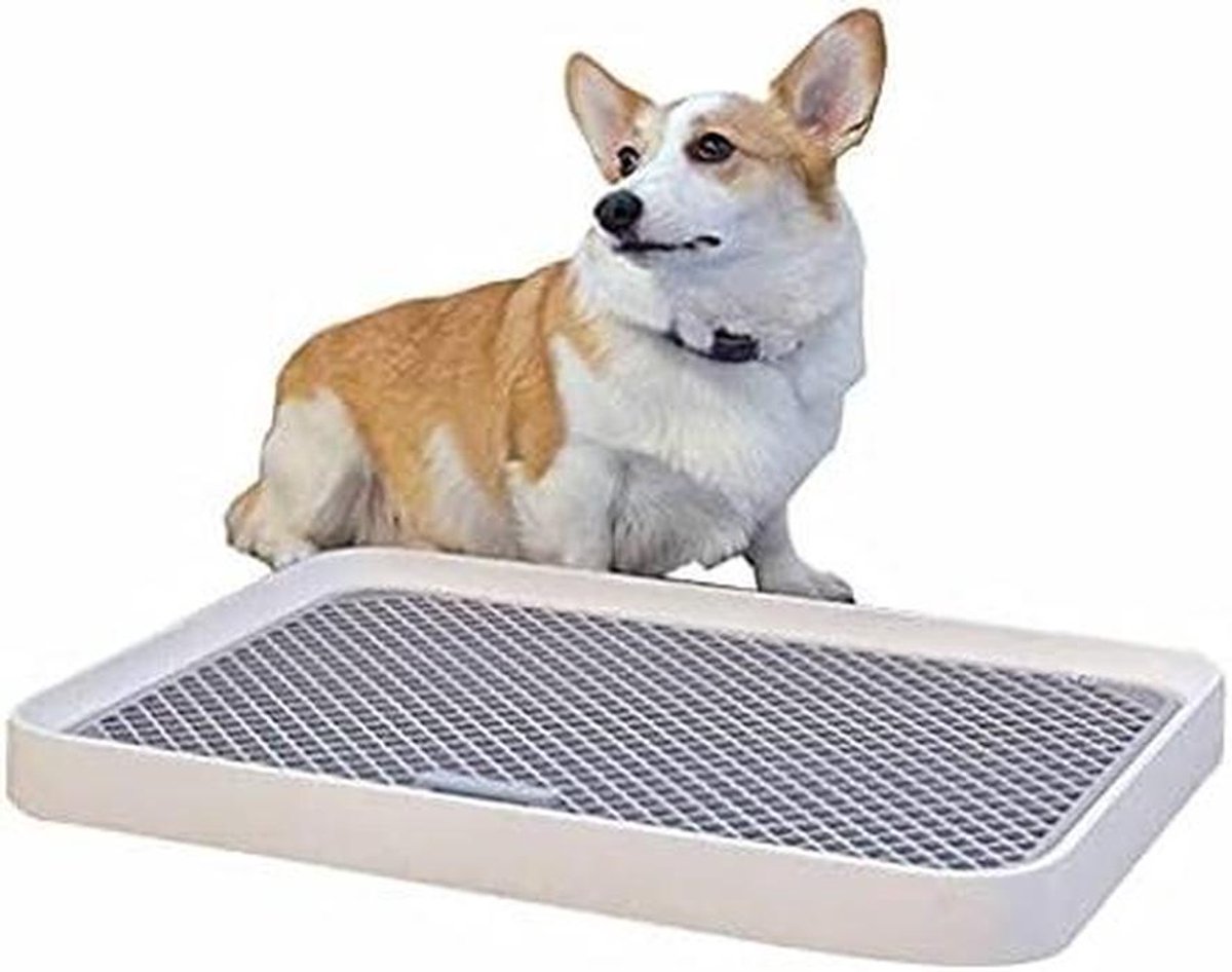 Honden Toilet - Puppy Trainer - Zindelijkheidstraining - Verwisselbare Roosters - 52x39 cm - Grijs