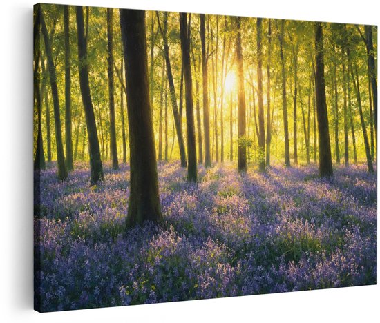 Canvas schilderij van een bos bedekt met paarse bloemen, met zonlicht dat tussen de bomen doorschijnt.