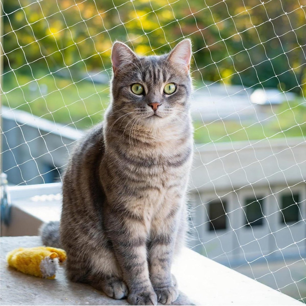 Kattennet Balkon - Veiligheidsnet Kat - Katten Veilig Houden - Zonder Boren te Bevestigen - 10 x 3 meter - Transparant