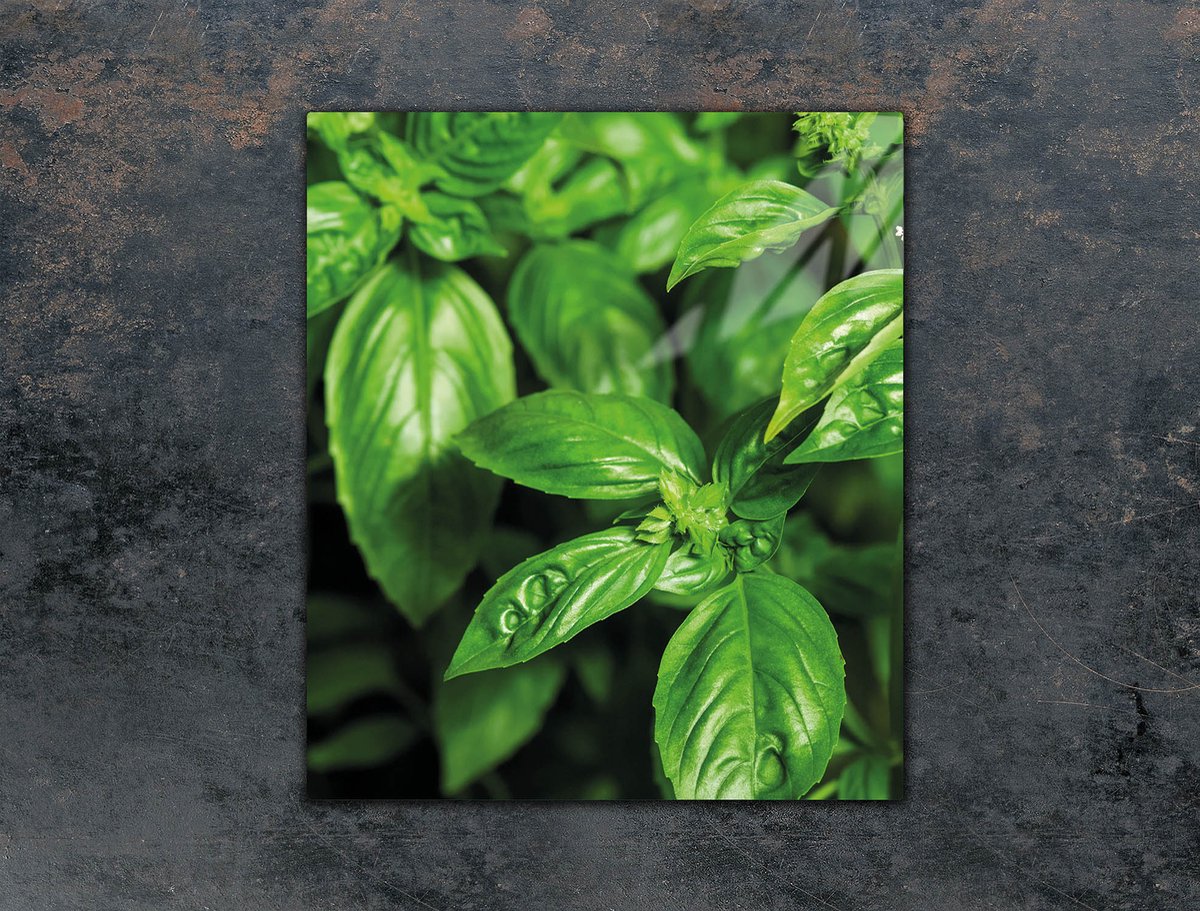 TMK ArtDeko - Snijplank - Glas - 45x52 cm - Basilicum ontwerp