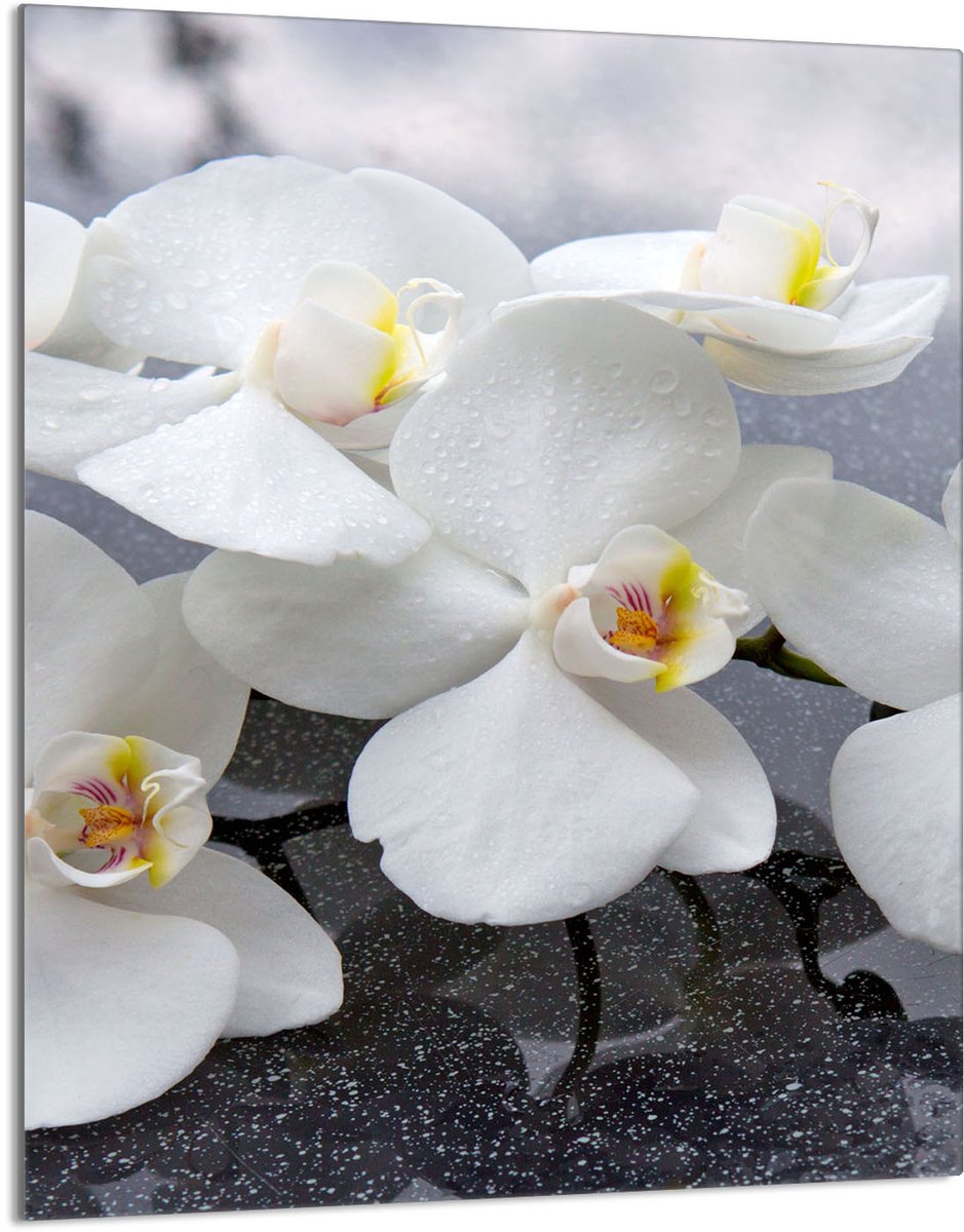 TMK ArtDeko Orchidea Serie - Snijplank - 40x52 cm - Glas - Orchidee Ontwerp