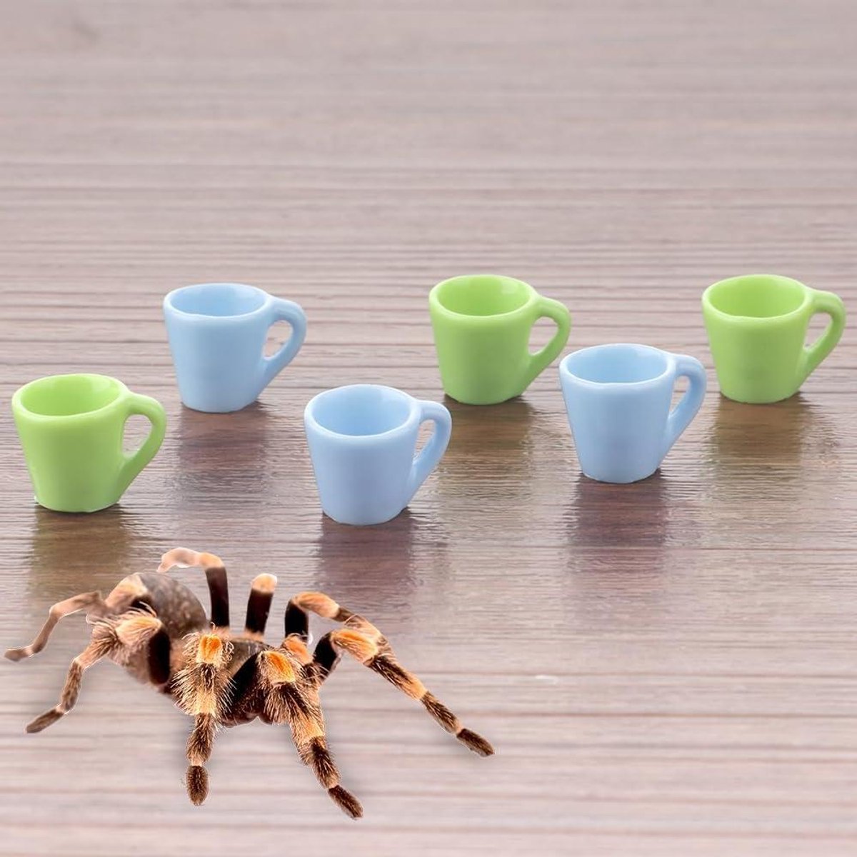 Waterbakje voor Spinnen - Voerbakje Reptiel - Kleine Insecten Voeden - Hars Materiaal - 063" x 051" - Blauw en Groen