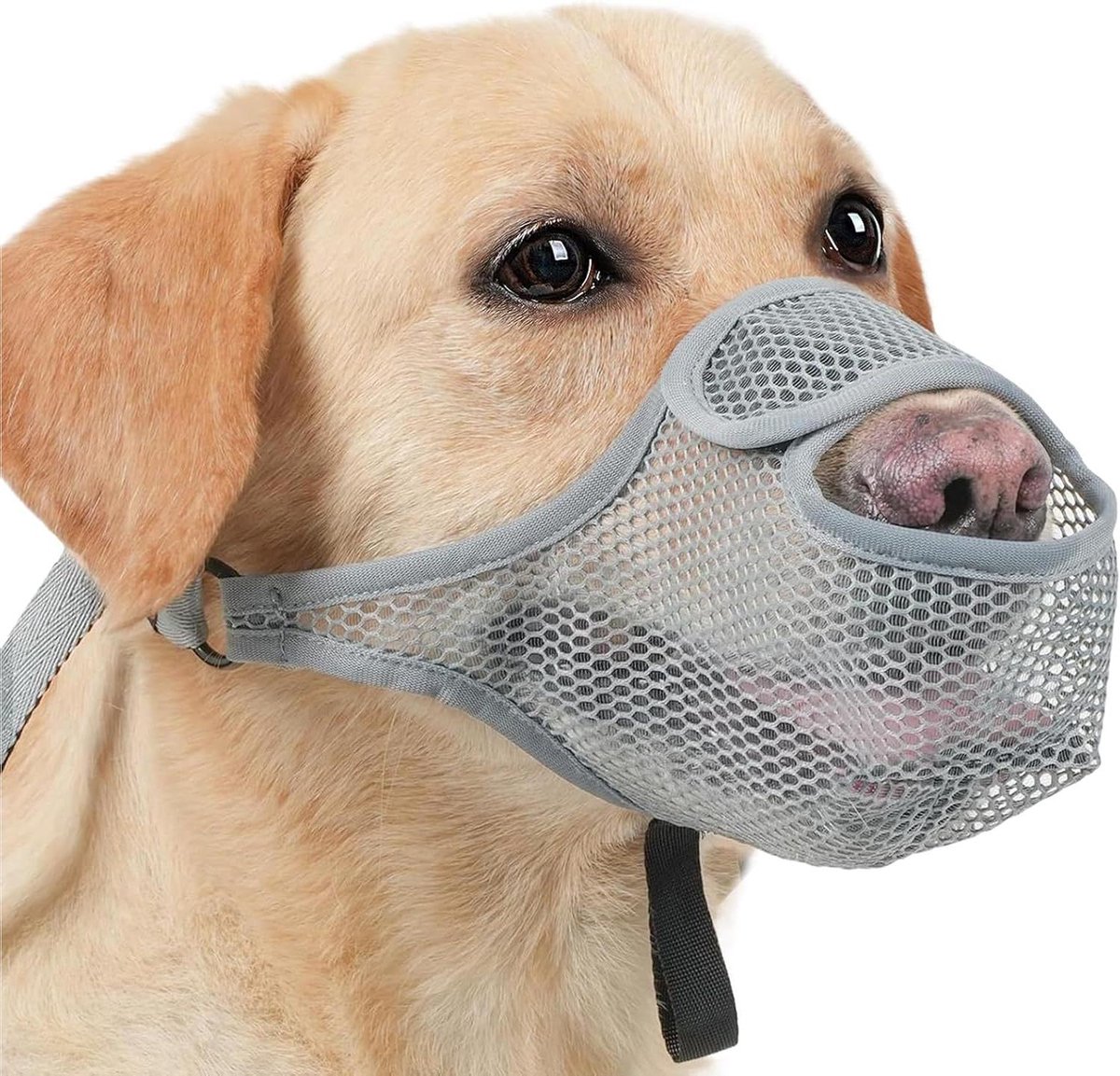 Honden muilkorf - Mondbeschermer hond - Veilige interactie - Ademend zacht gaas - Maat 2XL - Grijs