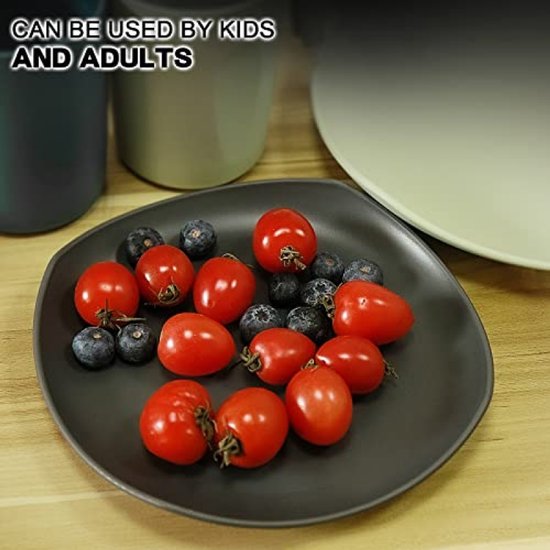 Large Plates 6 Pack 24.1 cm Dinner Plates for BBQ RV Picnic Camping Shatterproof PP Plate for Children and Adults Lightweight Plastic Plates Microwave and — afbeelding 3