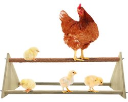 Zitstok voor Haan, Kip en Grote Papegaai - Houten Stand voor Vogels, Comfortabel en Duurzaam