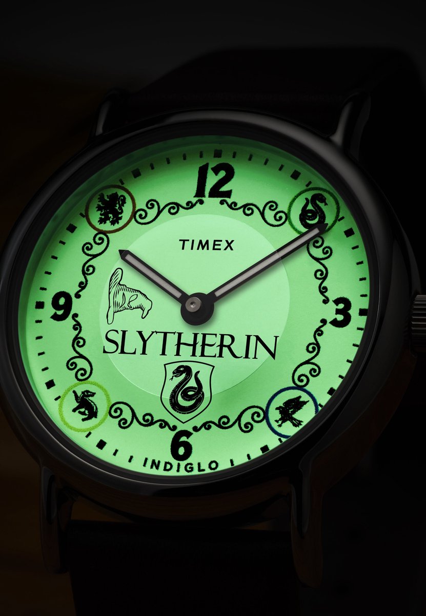 Timex Timex X Harry Potter Weekender Slytherin House Quartz Analoog Horloge Brown Kast: 100% Laag Lood Messing | Armband: 100% Leer 38 mm TW2Y76400YH