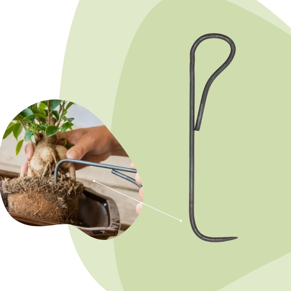 Bonsai root hook - 20,5 cm - Bonsai tool | Florazo