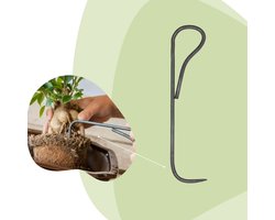 Bonsai root hook - 20,5 cm - Bonsai tool | Florazo