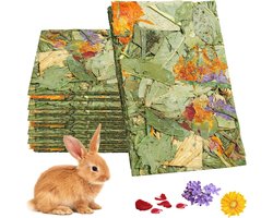 Natuurlijke Knaagspellen voor Konijnen, 15 Stuks, Gezonde Snack, Knaagmateriaal en Timothy Hooi Speelgoed