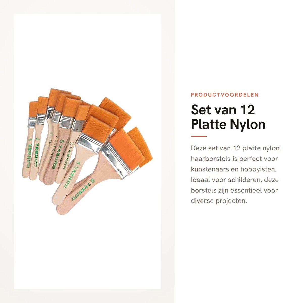 Dailygoods- Schilderborstel Set 12 Stuks - Platte Borstels - Houten Handvat - Nylon Haar - Voor Olieverfschilderij - Duurzaam Gebruik - Kwast