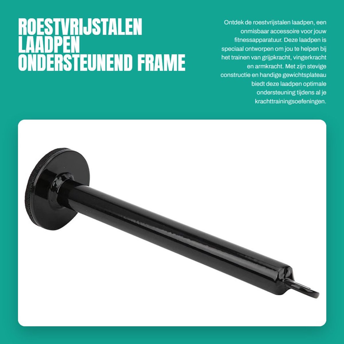 Dailygoods- Laadpen Roestvrij Staal - Haltersteunframe - Fitnessaccessoire - Ondersteunend Frame - Gewichtsplateau - 20 x 220 mm - Halters