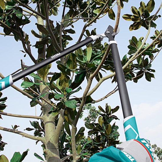 Takkenschaar - Set met 3 takkenschaars - 220 mm, heggenschaar 580 mm en tweehandschaar 725 mm - voor snoeien en tuin van Kinzo Garden — afbeelding 3